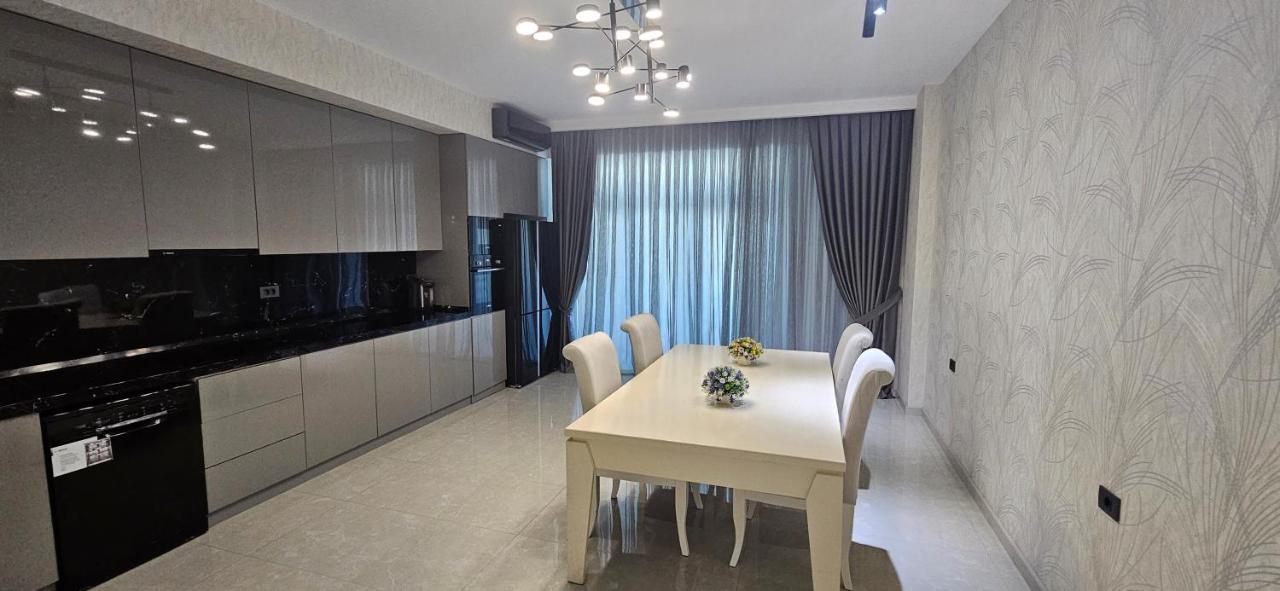 Vip Loft Apartment Baku Zewnętrze zdjęcie